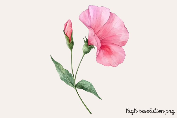 Flower Clipart Png Image 19