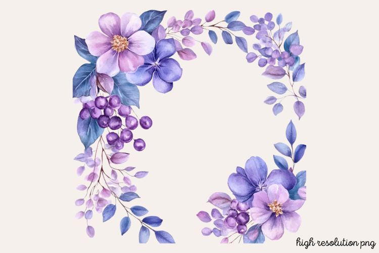 Lilac Illustration Image 17