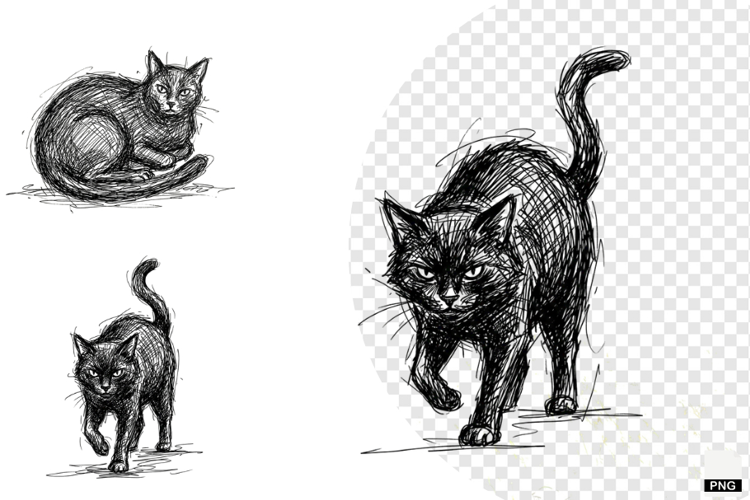 Halloween Black Cats PNG