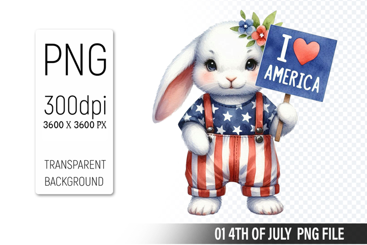 American Flag Png Image 3