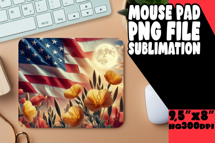 Usa Flag Png Image 10