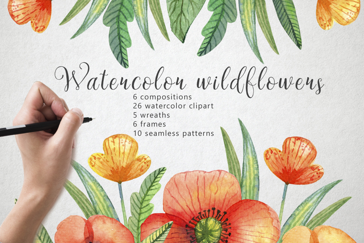 Watercolor wildflowers