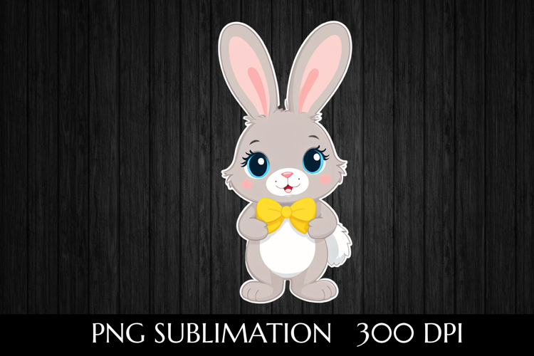Rabbit Illustration Image 17