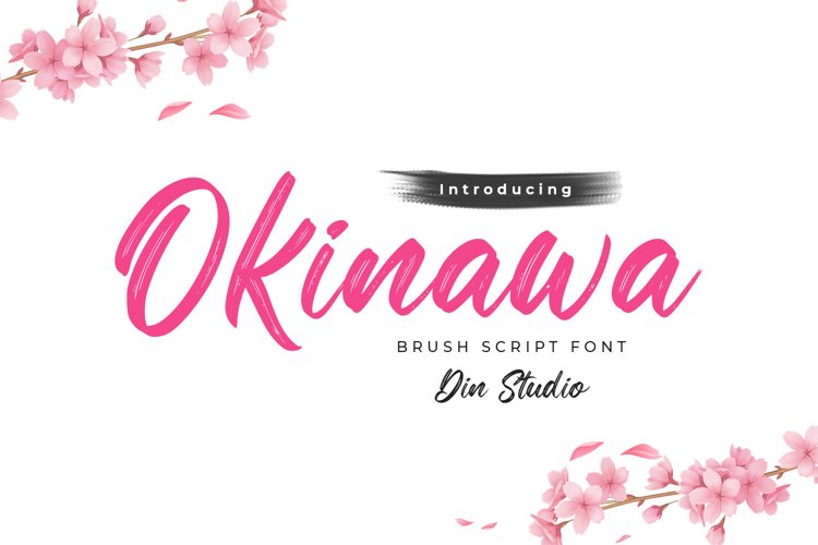 Okinawa-Elegant Brush Font example image 1