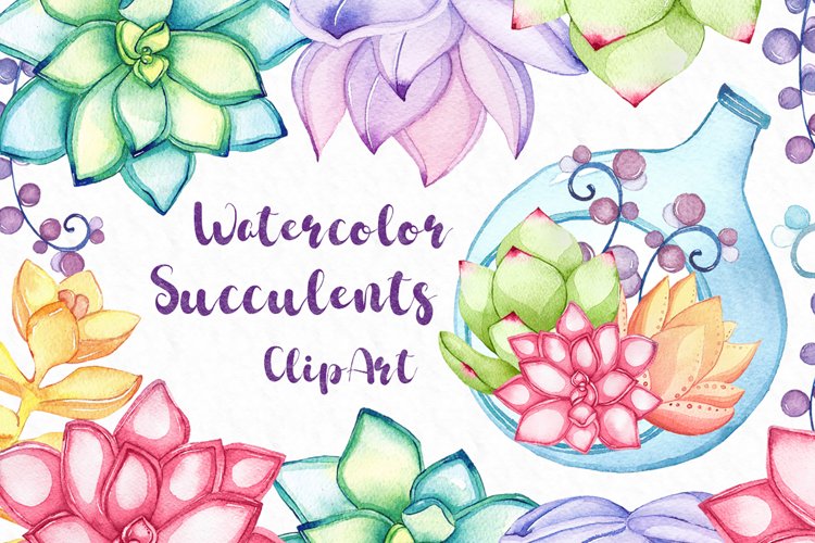 Succulents Clip art, Watercolor Succulents clipart example image 1