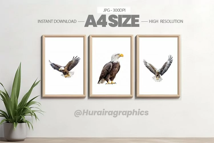 Bird Wall Art - 03 Variations