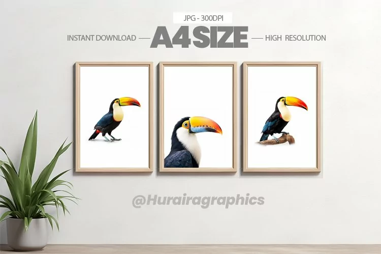 Bird Wall Art - 03 Variations