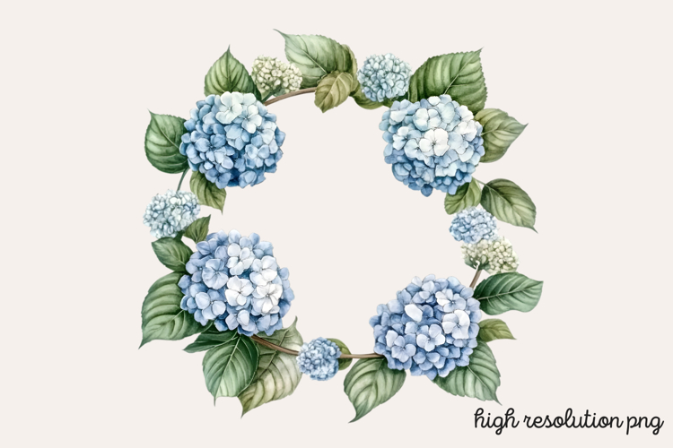 Hydrangea Png Image 17