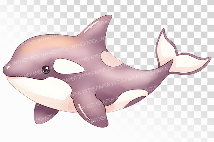Cute Orca Whale Marine Mammal PNG Summer Sea Animal Aquatic