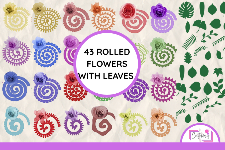 3d Rolled Paper Flowers