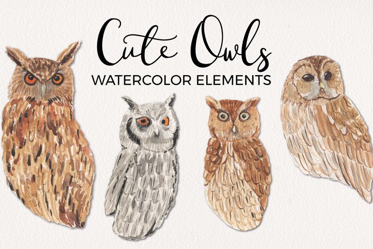 Cute Owls Clipart Watercolor Elements Hand Painted Bird example image 1