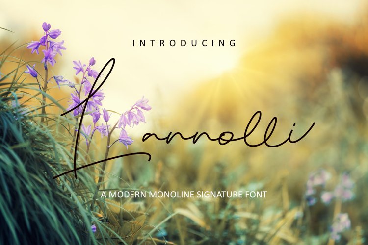 Lannolli example image 1