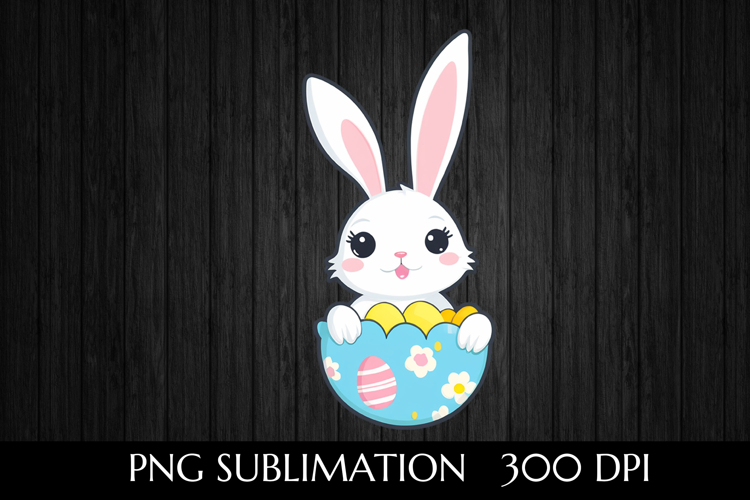 Rabbit Illustration Image 24