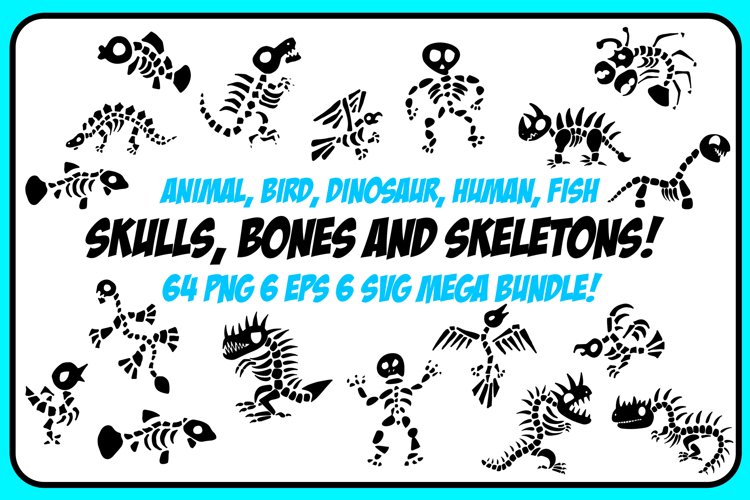 Dinosaur Animal Fish Bones and Skeletons! Bundle 64 Images! example image 1