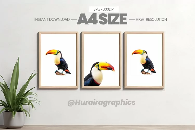 Bird Wall Art - 03 Variations