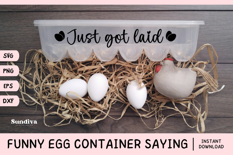 Funny Egg Container Saying SVG | Just Got Laid