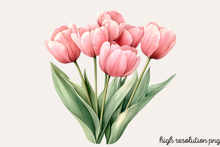 Boho SVG Image 3