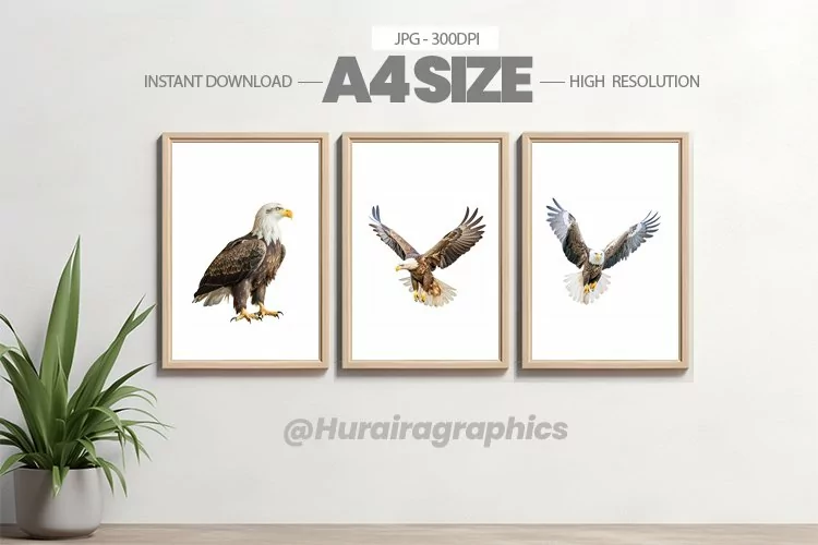 Bird Wall Art - 03 Variations