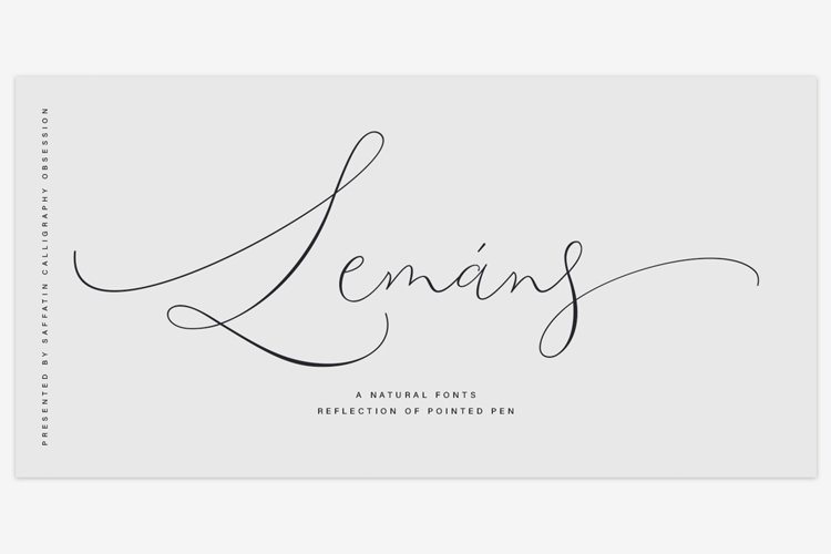 Lemans Fonts example image 1