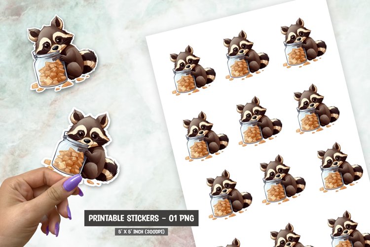 Cartoon Raccon sticker, Cute Raccon sticker png