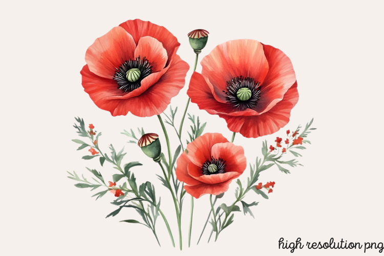 Boho SVG