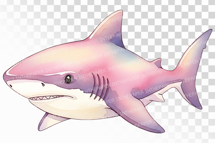 Shark Png Image 18