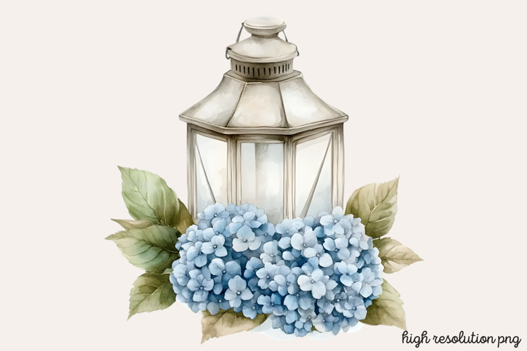 Hydrangea Png Image 15