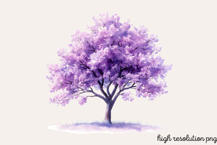 Baum Png Image 15