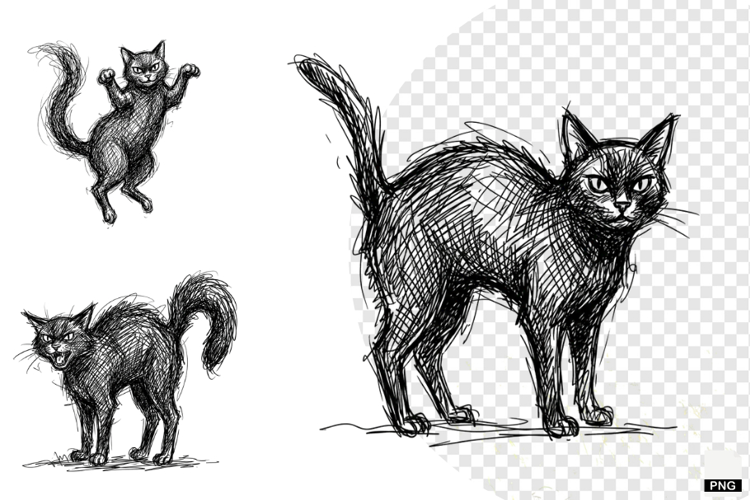 Halloween Black Cats PNG
