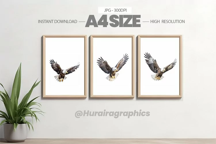 Bird Wall Art - 03 Variations