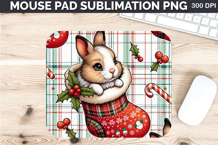Rabbit Png Image 14