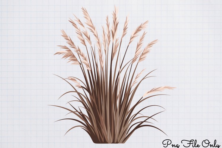 Safari Png Image 8