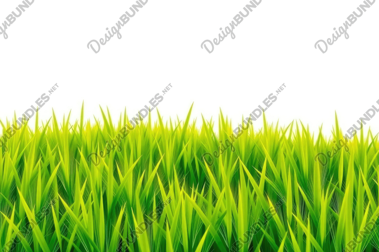 Grass Background Image 24