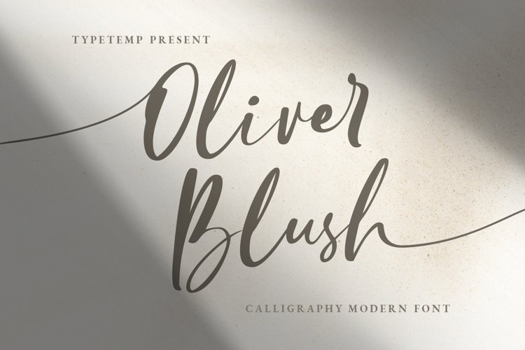 Oliver Blush Calligraphy Modern Font example image 1