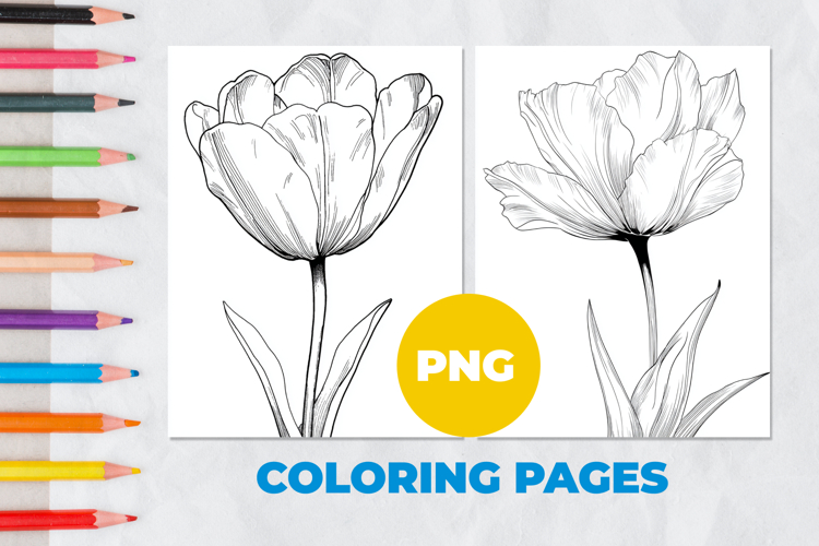 Tulip Coloring Pages Image 2