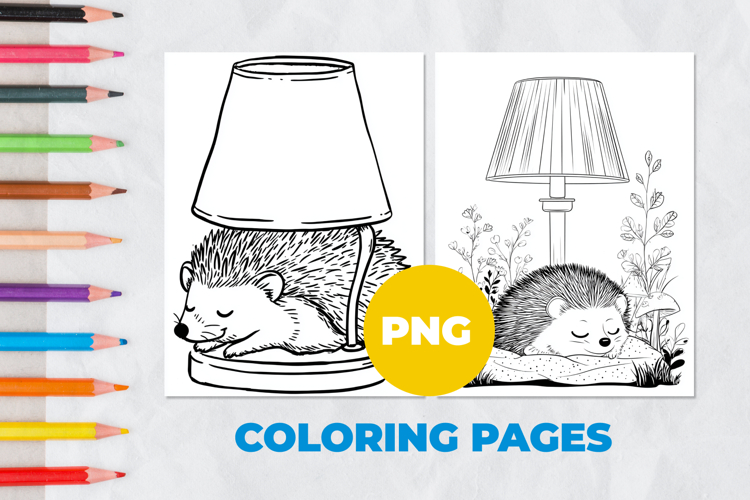 Sleeping hedgehog Coloring Pages | Coloring book
