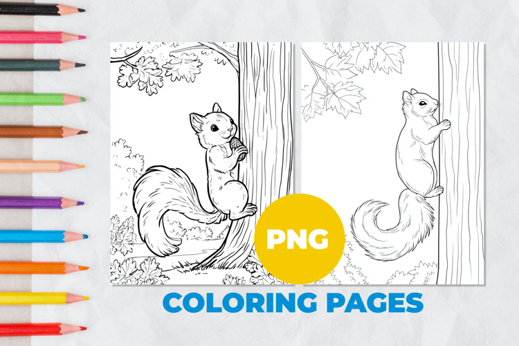 Squirrel on a tree Coloring Pages | Coloring book (5994644)