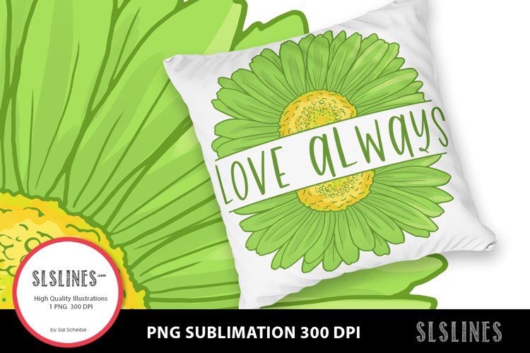 Green Daisy - Love Always PNG sublimation example image 1
