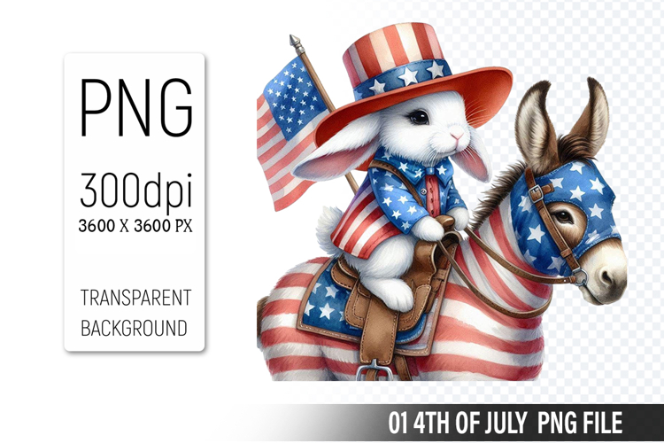 American Flag Png Image 23