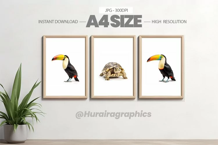 Animal Wall Art - 03 Variations