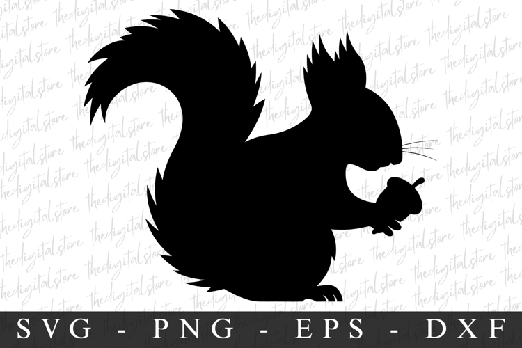 Squirrel Svg | Christmas svg | Svg cut file