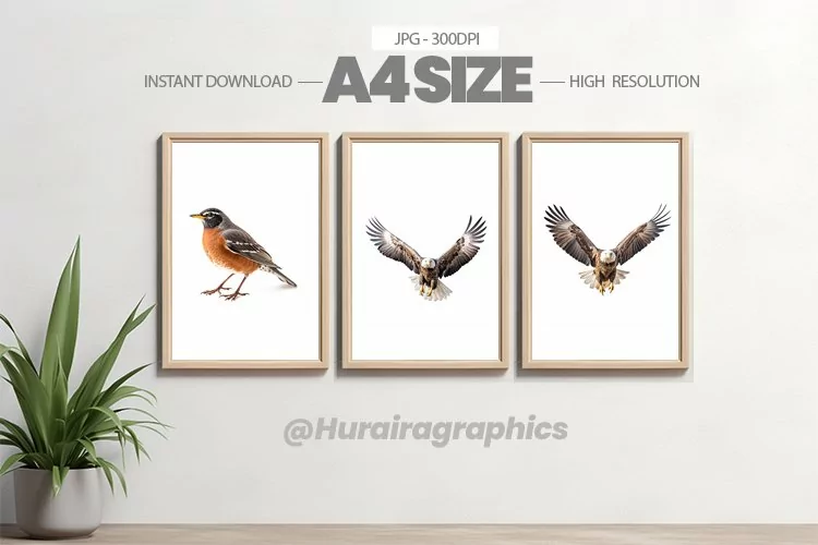 Bird Wall Art - 03 Variations