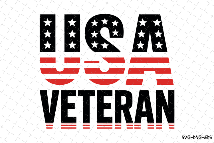 Veteran Silhouette Image 23