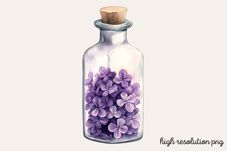Lilac Illustration Image 15