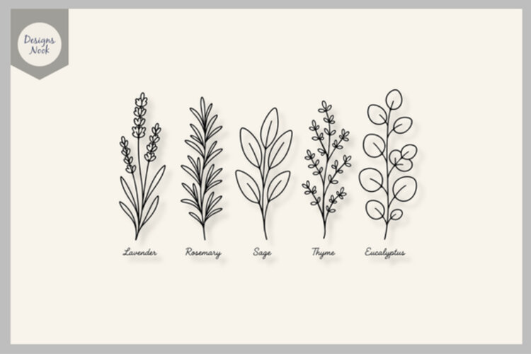 Botanical Herb SVG, Lavender Sage Rosemary Thyme Eucalyptus example image 1