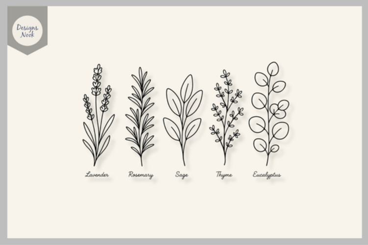 Botanical Herb SVG, Lavender Sage Rosemary Thyme Eucalyptus