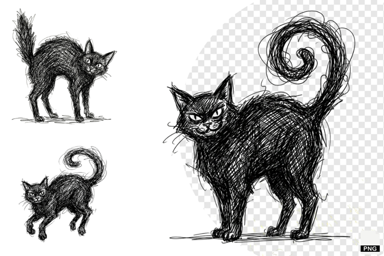 Halloween Black Cats PNG