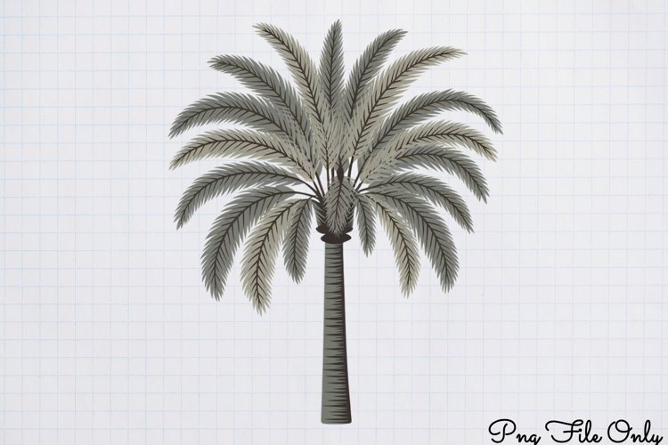 Safari Png Image 9