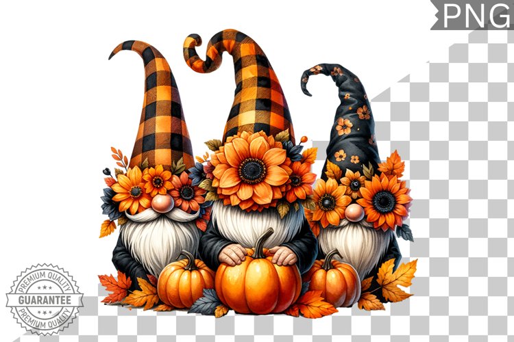 Gnome Clipart Image 3