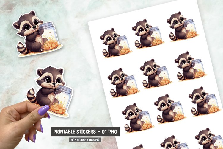 Raccoon Illustration Image 3